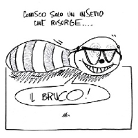 avatar Brucio